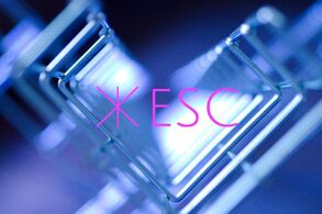 Poslední letošní online premiéra: ESC Michala HōRa a Jiřího Bartovance