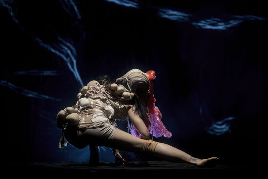 Motherland. Foto: Vojta Brtnický.