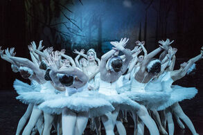 Balet NdB v sezoně 2018/2019