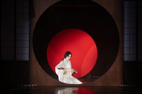Geiko. Foto: Irena Štěrbová.
