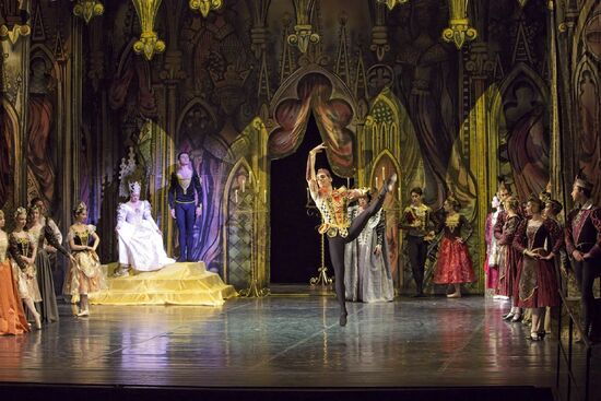 Labutí jezero. Balet divadla města Ústí nad Labem. Foto: Marek Russ. 
