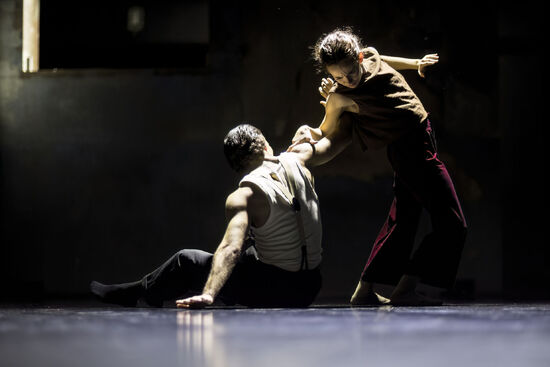 Your Ghosts, My Shadows. Lenka Vagnerová and Company. Foto: Vojta Brtnický.