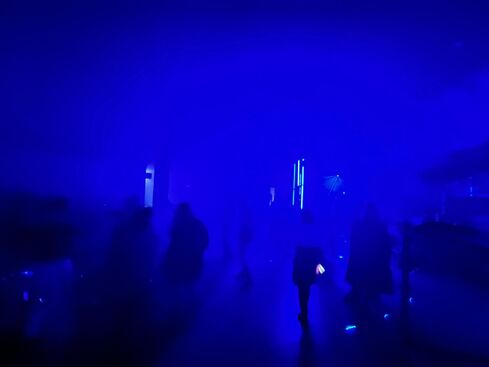 The Dancing Public. Mette Ingvartsen. Foto: archiv Festivalu 4+4 dny v pohybu. 