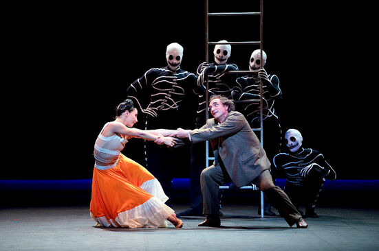 Broken Wings (Tamara Rojo, Irek Mukhamedov). Foto: David Morgan.