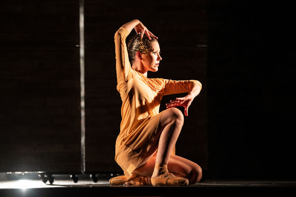 Sylf. Foto: Daniel Dančevský.