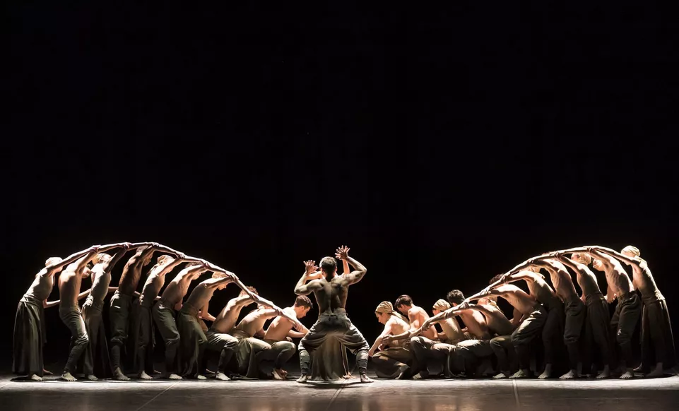 Dust. Foto: Bill Cooper.