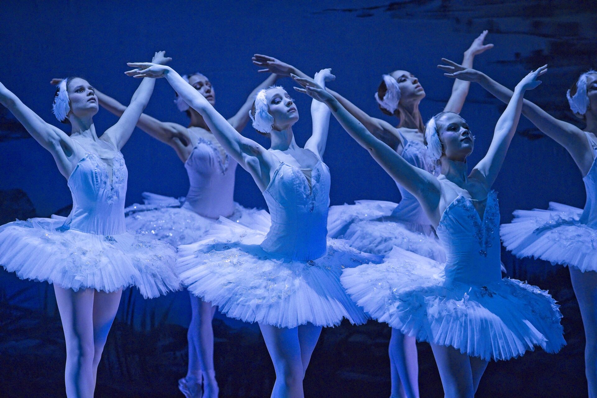 Labutí jezero. Balet divadla města Ústí nad Labem. Foto: Marek Russ.