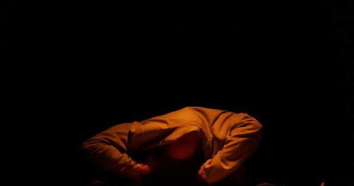 INSECTUM K. Foto: Ed Tadevosian.