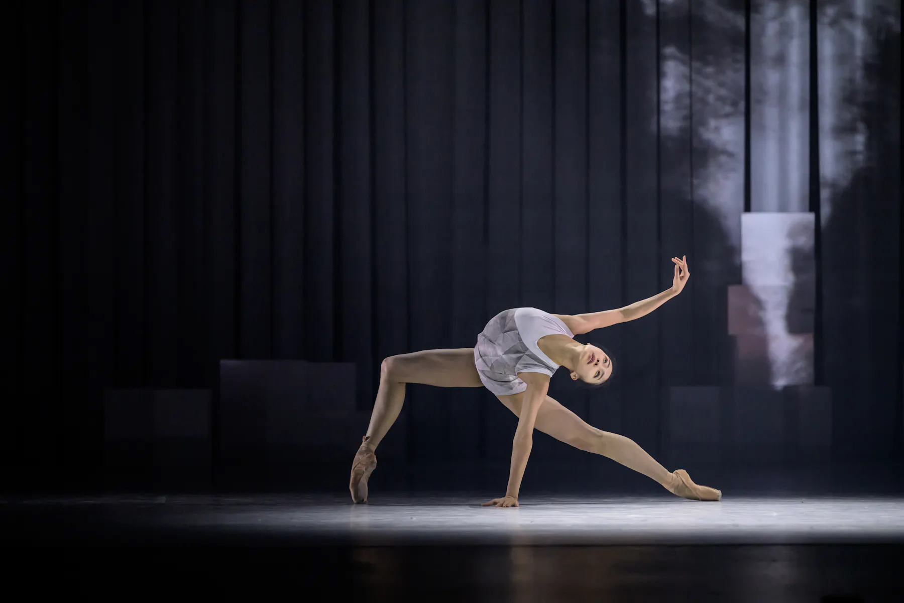 Avant-Garde. 4 Seasons. Nana Nakagawa. Foto: Serghei Gherciu.