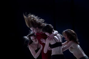 Účastníci České taneční platformy: VerTeDance