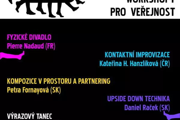 Mezinárodní festival tance, tanečního a pohybového divadla Tancesse 2014 v květnu v Brně