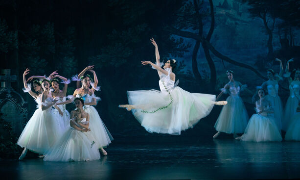 Giselle. Balet Národního divadla Brno. Foto: Pavel Hejný. 