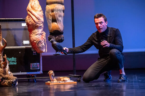 HIT. Jan Bárta. Foto: Tomáš Hejzlar. 