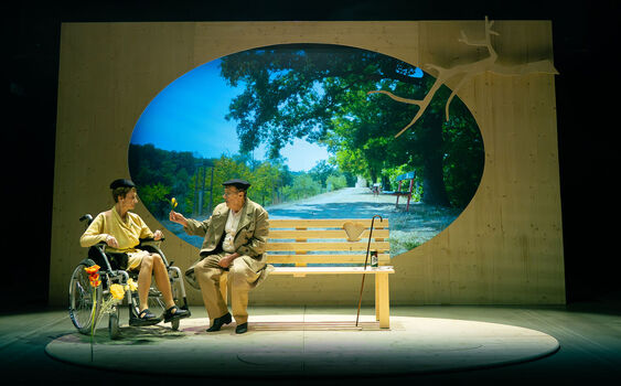 Stáří jako brilantní situační tragikomedie. Vizváryho křehká alej vzpomínek chytá za srdce