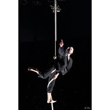 Les choix tremblants – Cirkus Nevkus. Daniel Kvašňovský. 