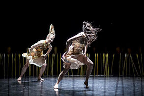 Constellations II. Foto: Vojtěch Brtnický.