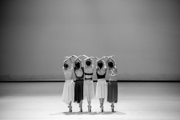 Serenade, foto: Martin Divíšek