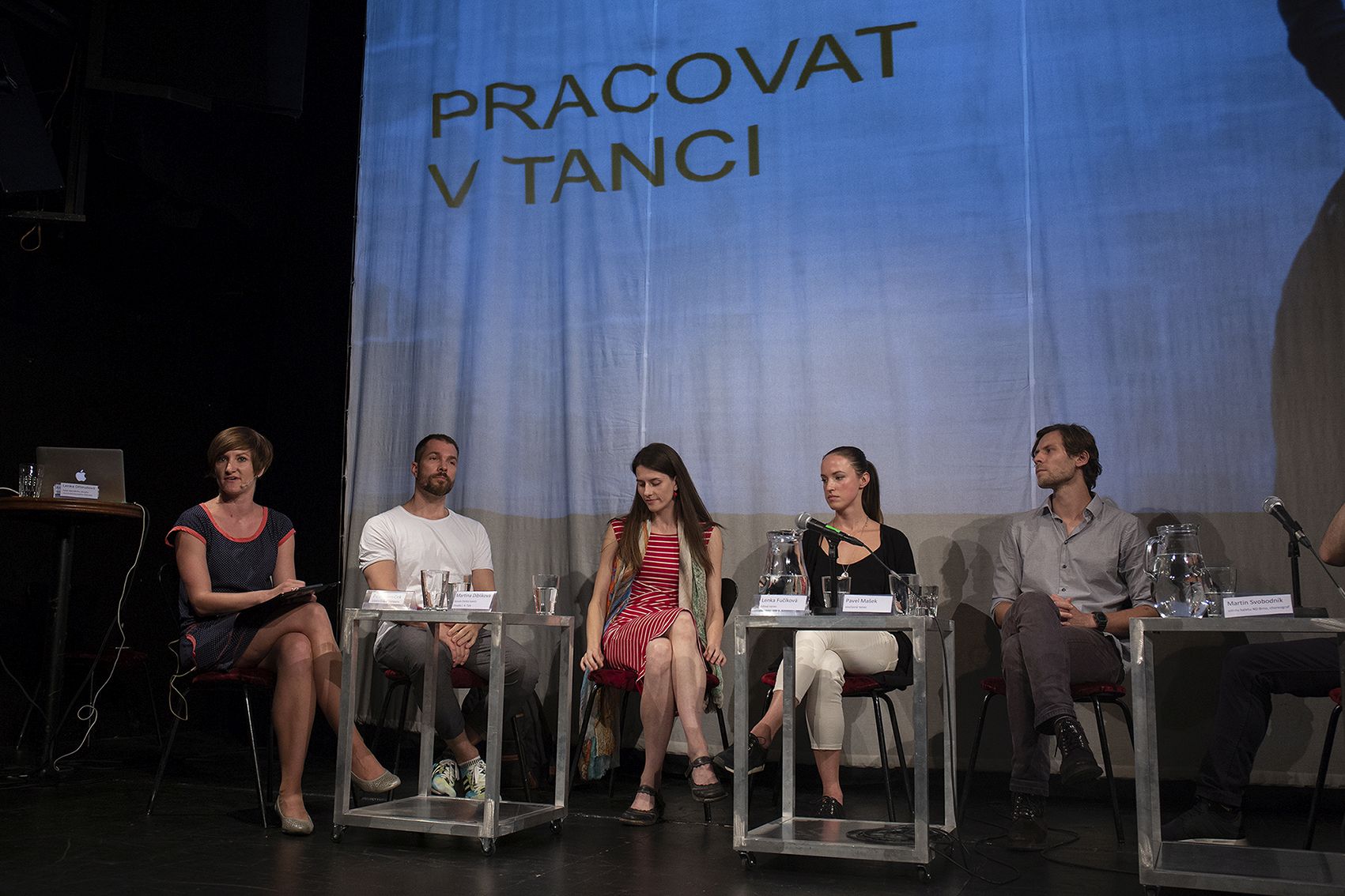Panel