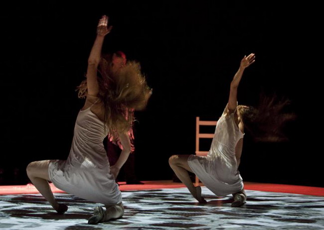 Spitfire Company: Animal Exitus